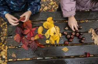 Children sorting autumn leaves and chestnuts on a bench