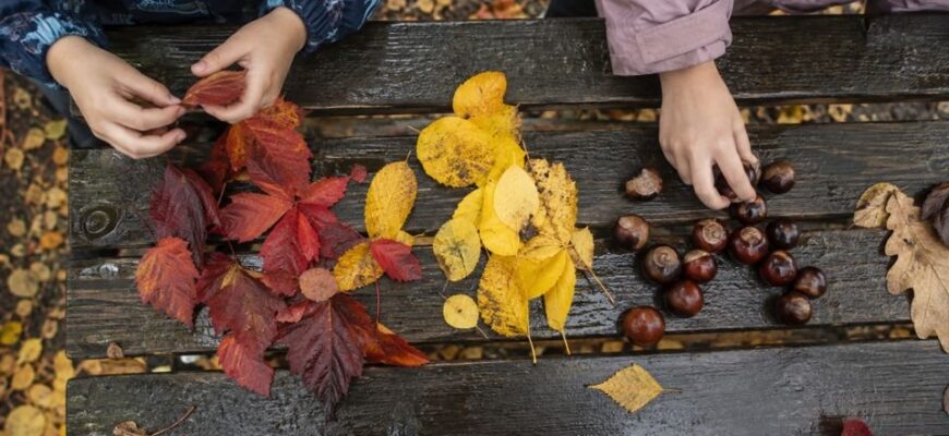 Children sorting autumn leaves and chestnuts on a bench